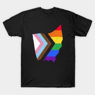 Ohio State Pride: Embrace Progress with the Progress Pride Flag Design T-Shirt